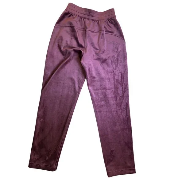 Lululemon Align Velvet Soft Jogger Pants Burgundy Xxs - Picture 2 of 12
